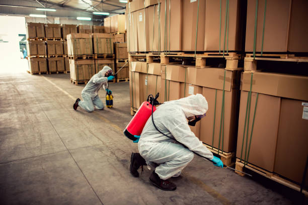 Pest Prevention Services in Roaring Spring, PA