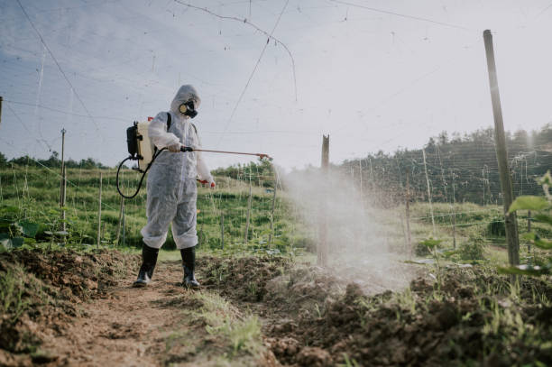 Best Termite Control Services  in Roaring Spring, PA