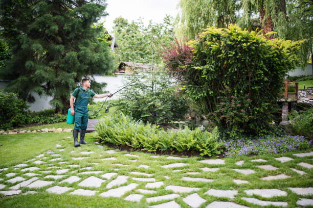 Best Affordable Pest Control Services  in Roaring Spring, PA