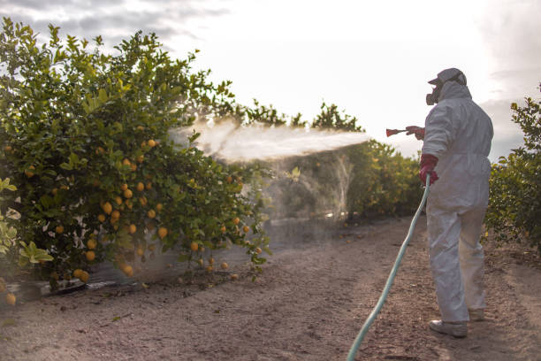 Best Pest Prevention Services  in Roaring Spring, PA
