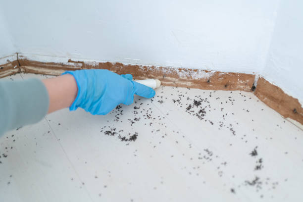 Best Best Pest Control Companies  in Roaring Spring, PA